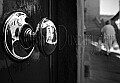 Infrared Images from the portfolio of Kathleen Duxbury Yeaw<br />NO COPY, NO TV, Do derivitive work, No prints<br />No Mags, No Sales, No Media without written permission of Kathleen Duxbury<br />photographs are subject to copyrights of the Kathleen Duxbury Yeaw and are protected by the Copyright Law of the United States (Title 17, United States Code) and by the Berne Convention. Reproduction, storage or transmittal by any means, of any image on this web site, whole or in part, is prohibited without express prior written permission. Prints purchased from this gallery may not be reproduced or scanned for any reason and may only be used for personal display. If you wish to publish or reproduce the materials in any physical or digital form or use them for any commercial purpose, including display or Web page use, you must obtain prior written permission from the Kathleen Duxbury Yeaw listed above.All images are copyrighted All rights reserved.
