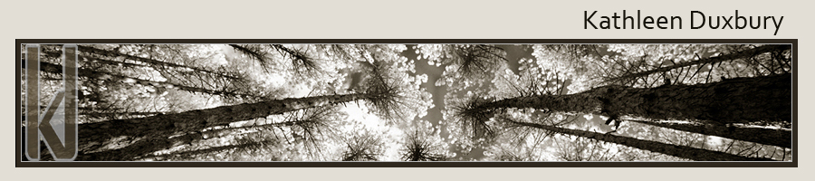 canopy5